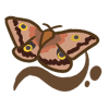 Pattern-Changing Moth