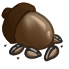 Super Rare Acorn